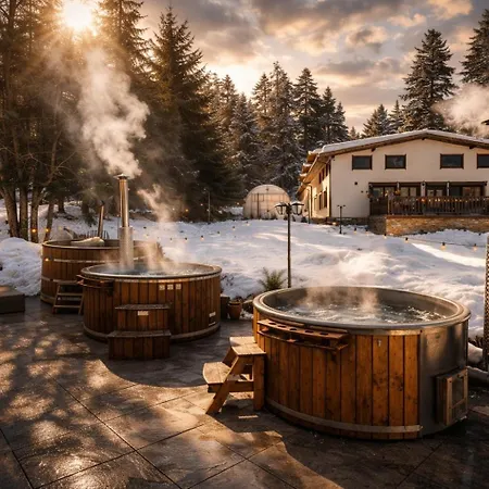 Chalet Evergreen 3*