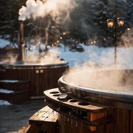 Chalet Evergreen 3*